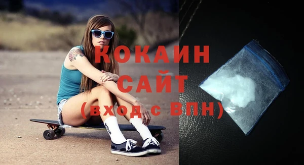 индика Козельск