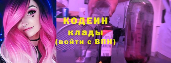 соль ск Козловка