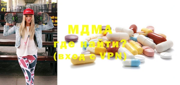 индика Козельск