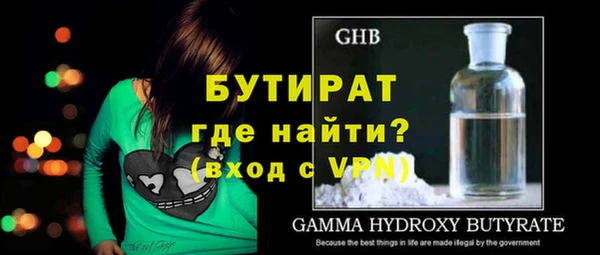 индика Козельск