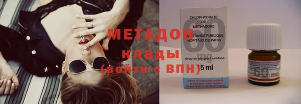 индика Козельск