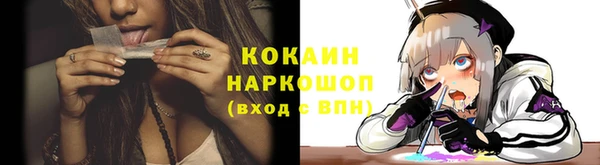 соль ск Козловка