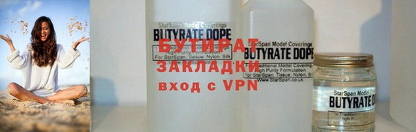 индика Козельск