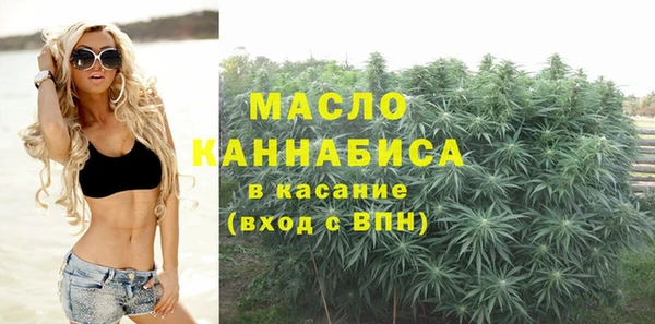 индика Козельск