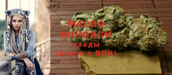 индика Козельск