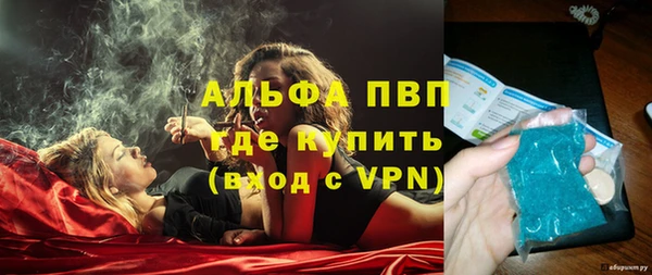индика Козельск