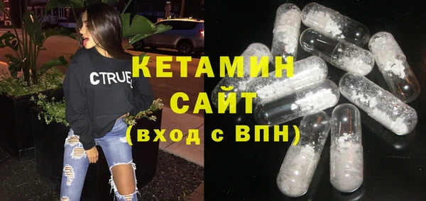 индика Козельск