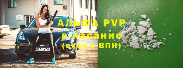 индика Козельск