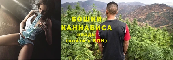 индика Козельск